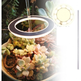 Plant lamp growth lamp led full spectrum imitation of the sun indoor domestic flower irradiation meat fill lamp