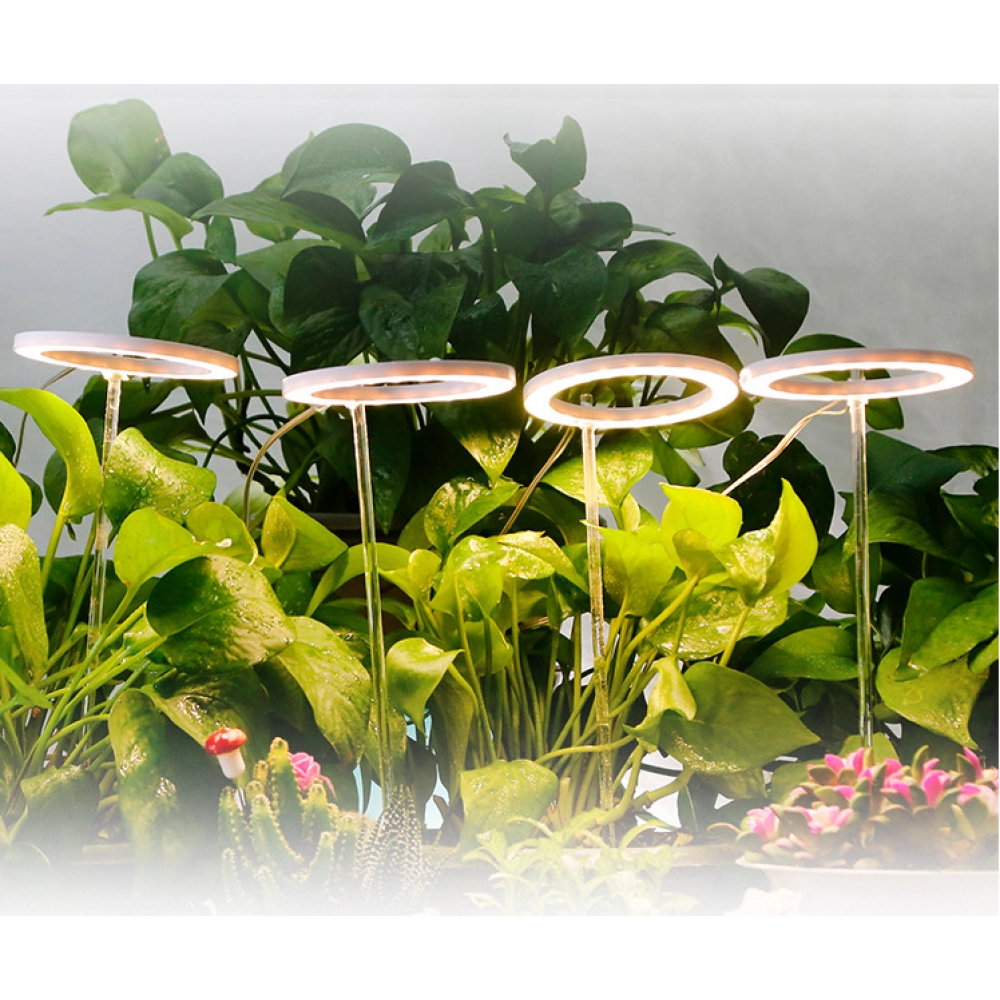 Indoor plant lamp led full spectrum growth lamp angel ring plant light supplement lamp fleshy household seedling timing