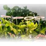 Indoor plant lamp led full spectrum growth lamp angel ring plant light supplement lamp fleshy household seedling timing