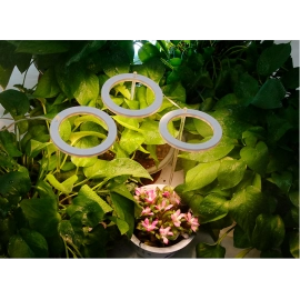 Indoor plant lamp led full spectrum growth lamp angel ring plant light supplement lamp fleshy household seedling timing