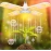 Four-leaf LED folded full-spectrum plant growth lamp 48W fleshy colored flower and vegetable greenhouse seedling supplement lamp